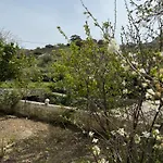 The River House
