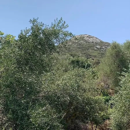 Apartmán The River House *