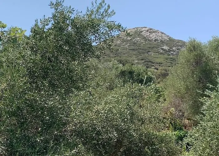 Apartament The River House *